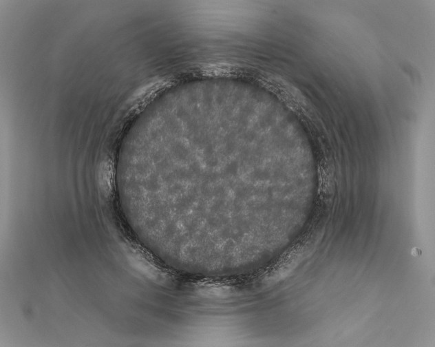 X0000111630648200908281135