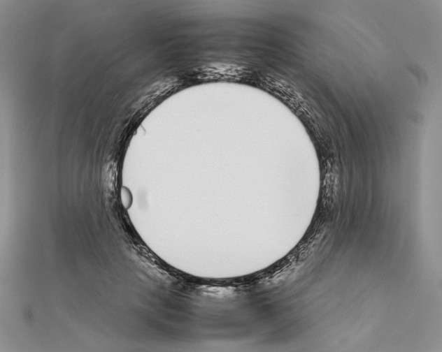 X0000111630649200908281135