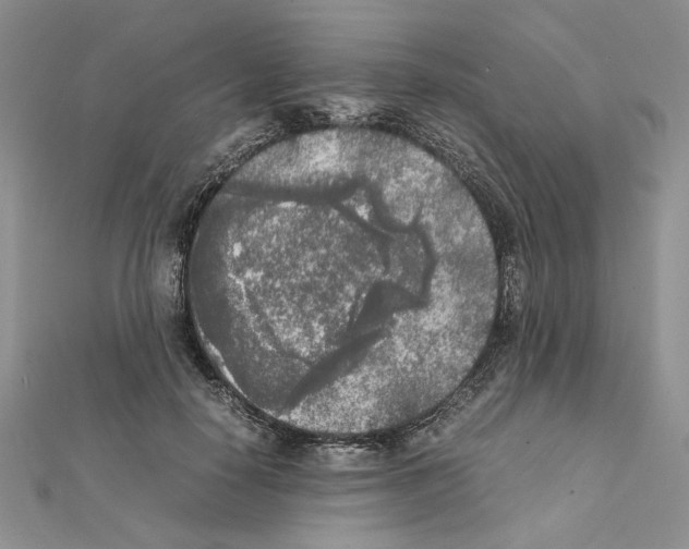 X0000111630650200908281135
