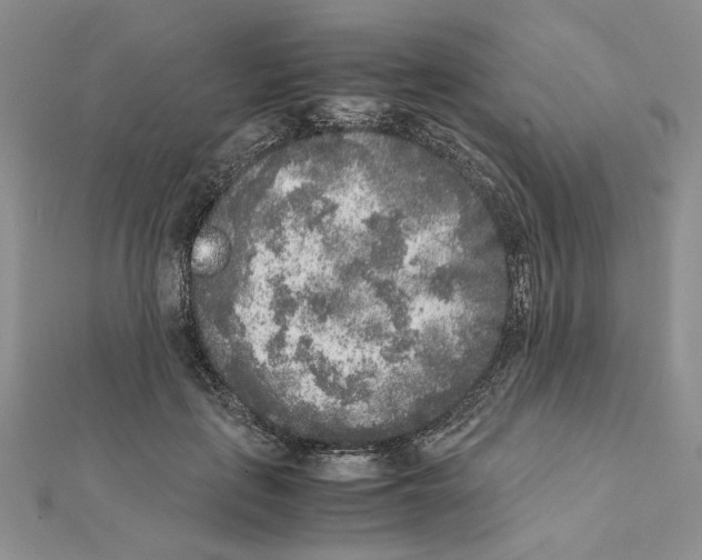 X0000111630651200908281135