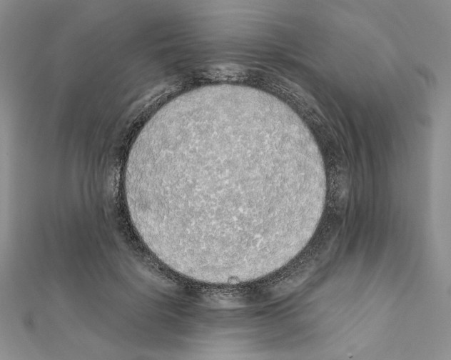 X0000111630652200908281135
