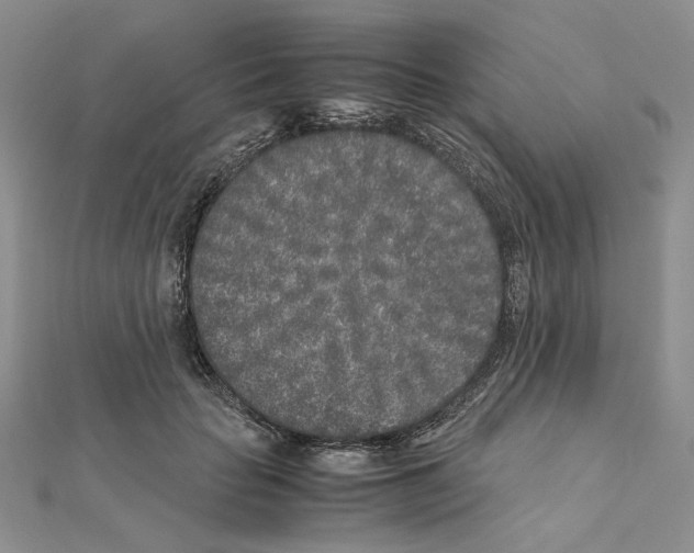 X0000111630653200908281135