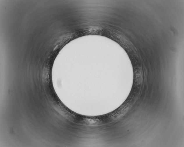 X0000111630654200908281135