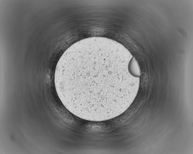 X0000111630655200908281135