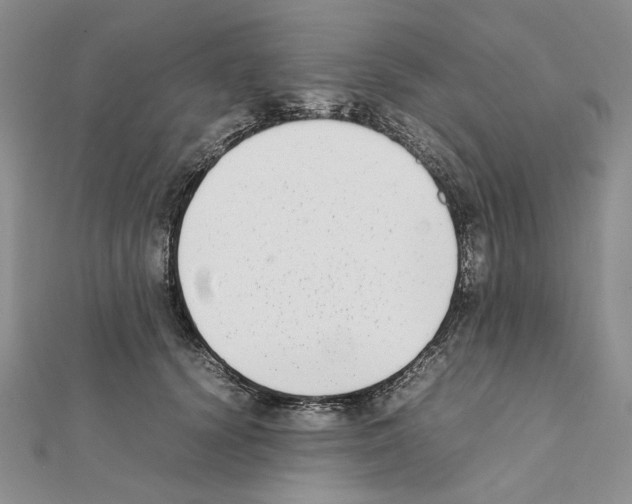 X0000111630656200908281135