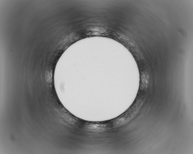 X0000111630657200908281135