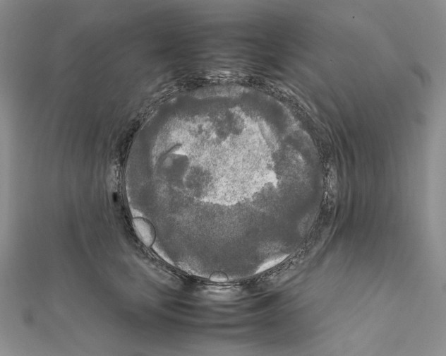 X0000111630659200908281135