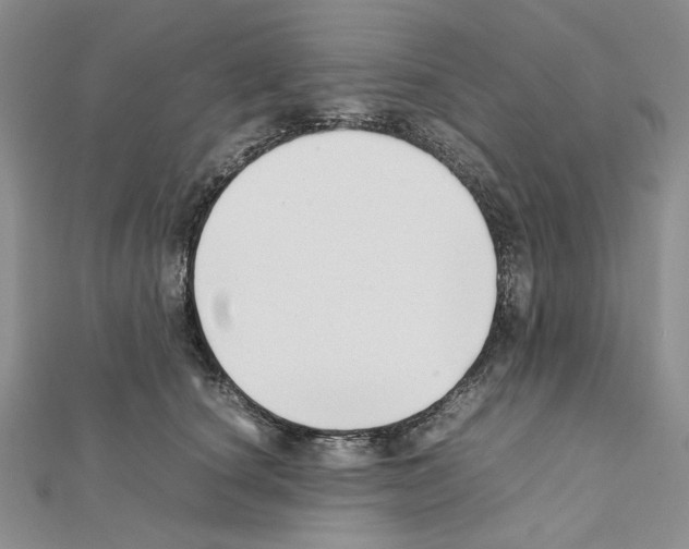 X0000111630660200908281135