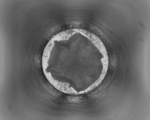 X0000111630661200908281135