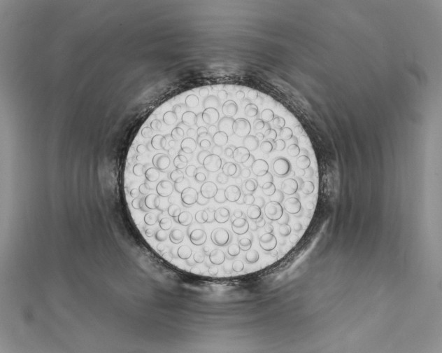 X0000111630662200908281135