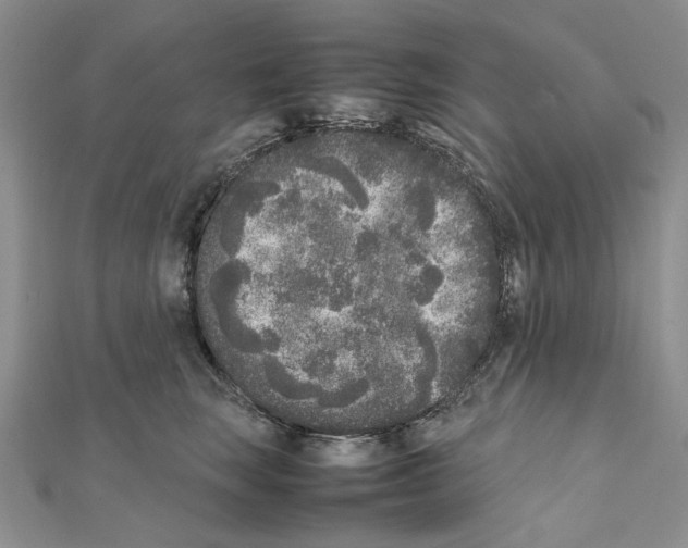 X0000111630663200908281135