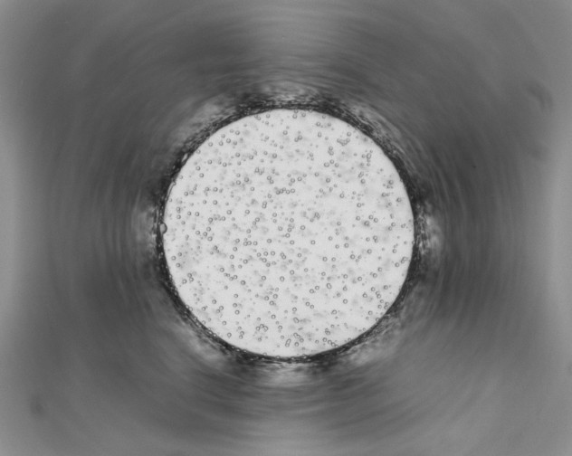 X0000111630664200908281135