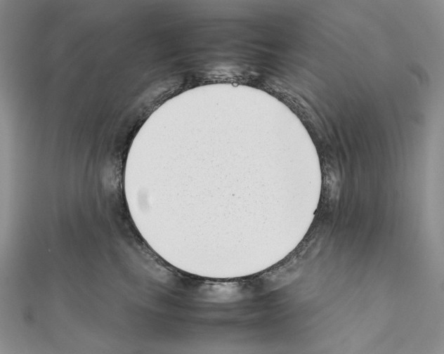 X0000111630665200908281135