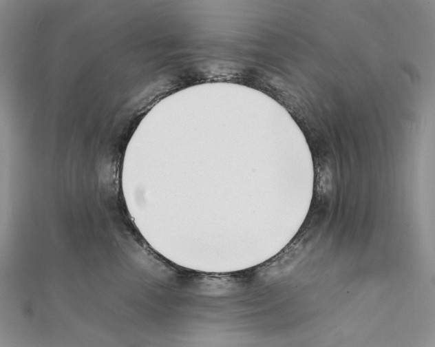 X0000111630666200908281135