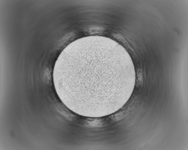 X0000111630667200908281135
