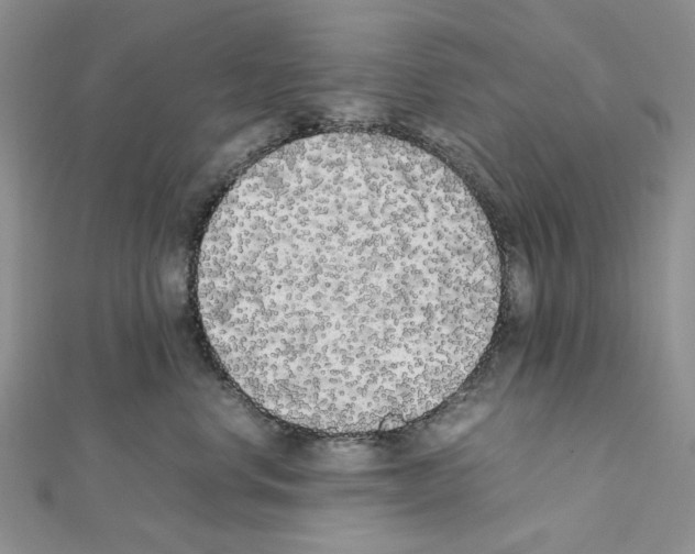 X0000111630668200908281135