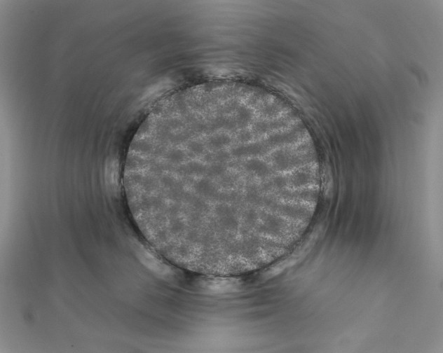 X0000111630670200908281135