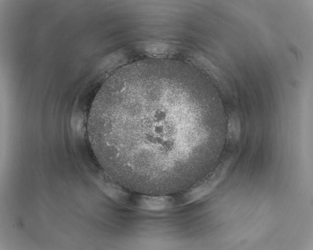 X0000111630671200908281135