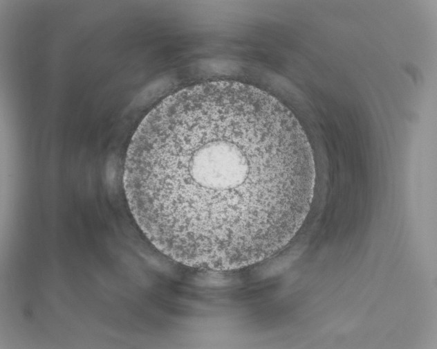 X0000111630672200908281135
