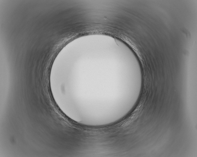 X0000111630673200908281135