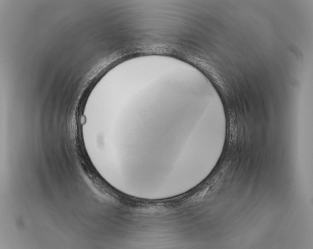 X0000111630674200908281135