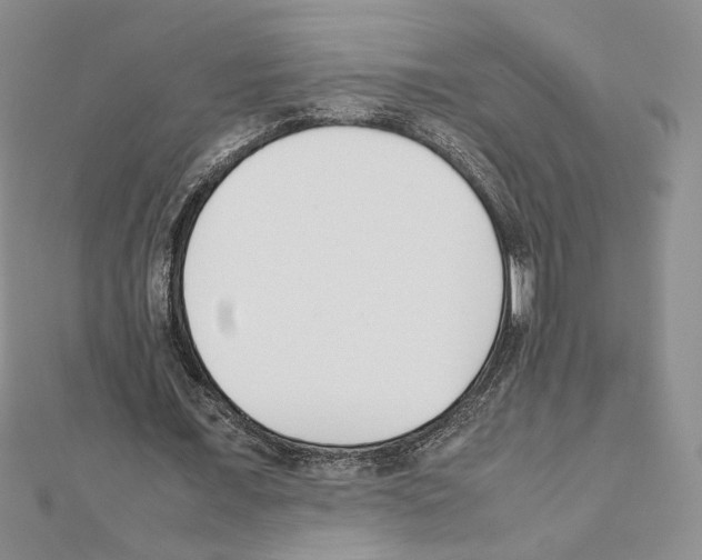 X0000111630675200908281135