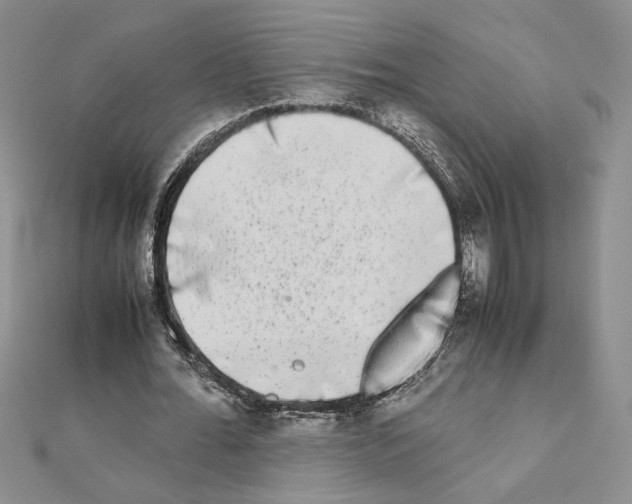 X0000111630676200908281135