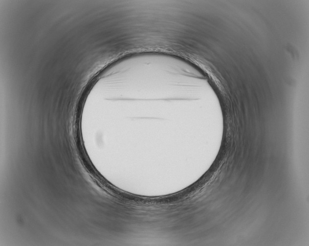 X0000111630677200908281135