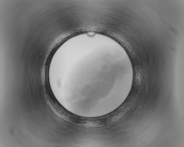 X0000111630678200908281135