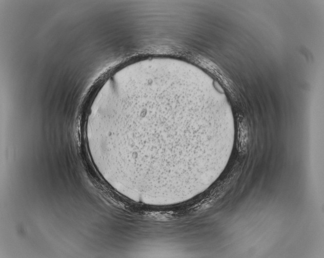 X0000111630680200908281135