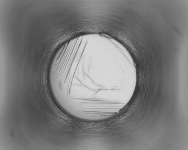 X0000111630681200908281135