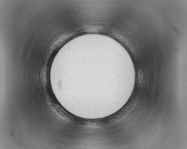 X0000111630682200908281135