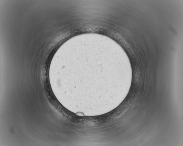 X0000111630683200908281135