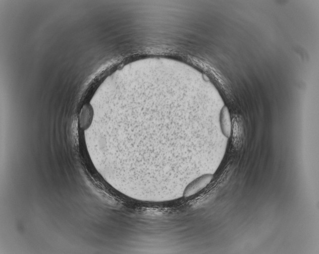 X0000111630684200908281135