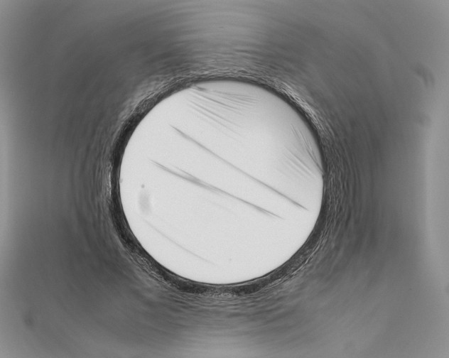 X0000111630685200908281135
