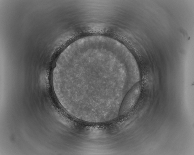 X0000111630688200908281135