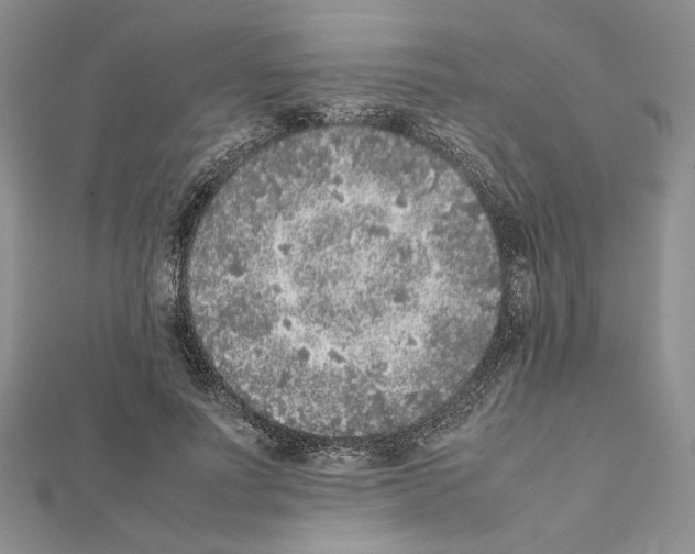 X0000111630691200908281135