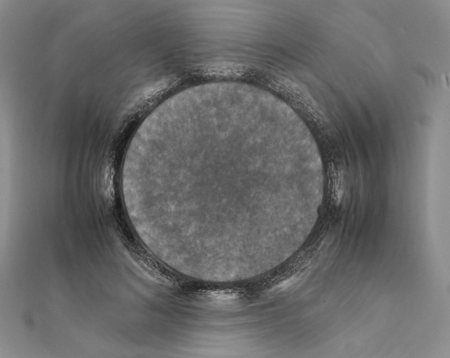 X0000111630692200908281135