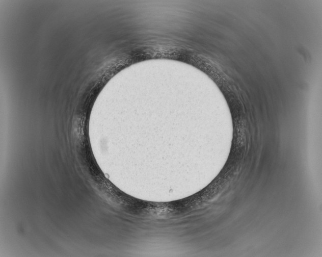 X0000111630695200908281134