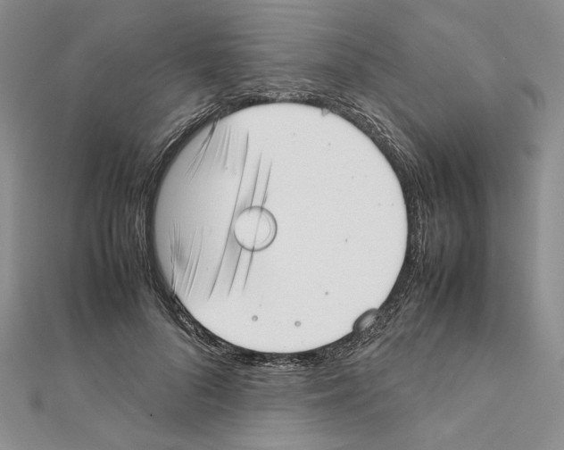 X0000111630696200908281134