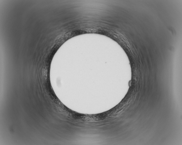 X0000111630697200908281134