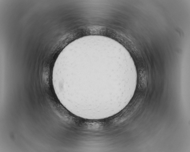X0000111630698200908281134