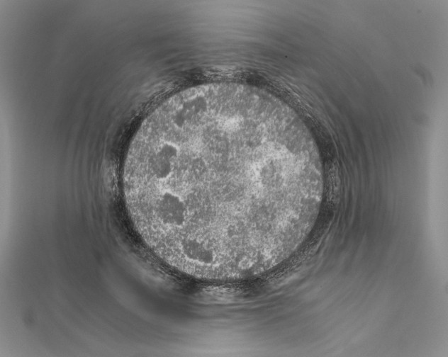 X0000111630699200908281134