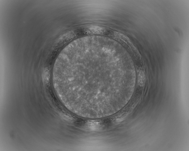 X0000111630701200908281134