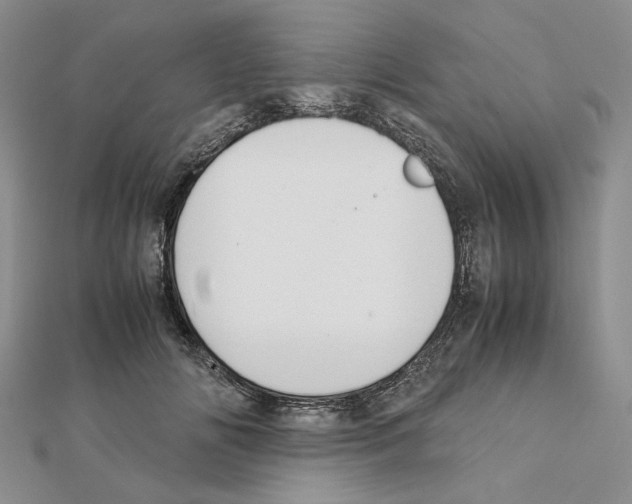 X0000111630702200908281134