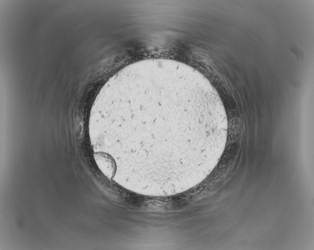 X0000111630703200908281134