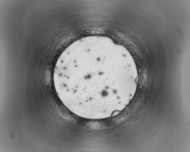 X0000111630704200908281134