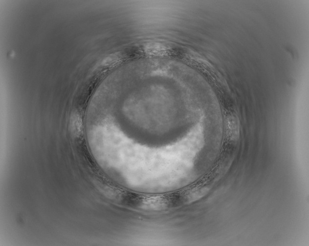 X0000111630705200908281134