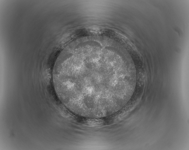 X0000111630707200908281134