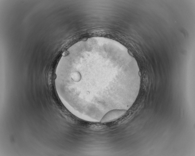 X0000111630708200908281134
